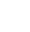 Carta d’identità elettronica